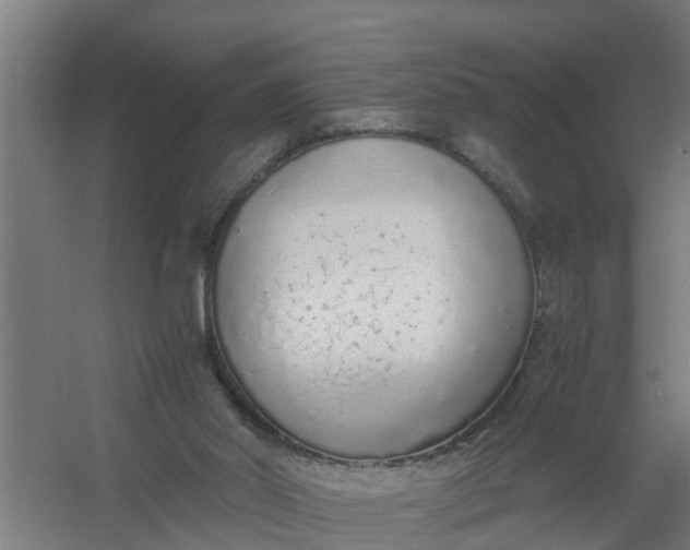 X0000059810014200511041705