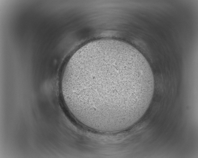 X0000059810016200511041705