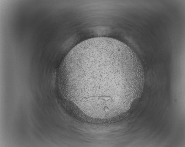 X0000059810018200511041705