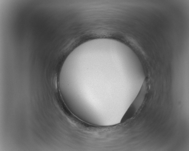 X0000059810021200511041705