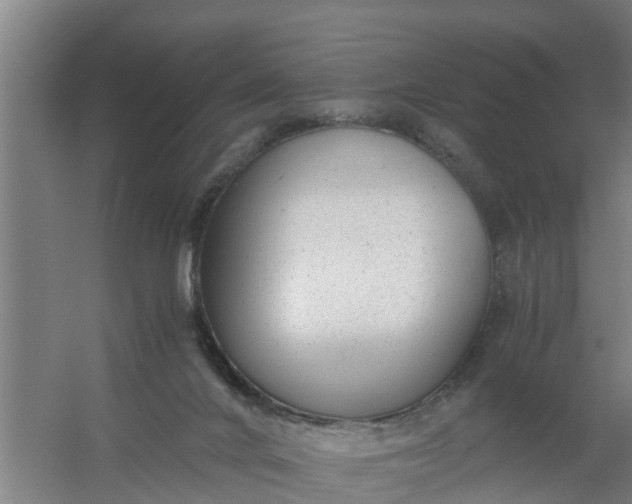 X0000059810024200511041705