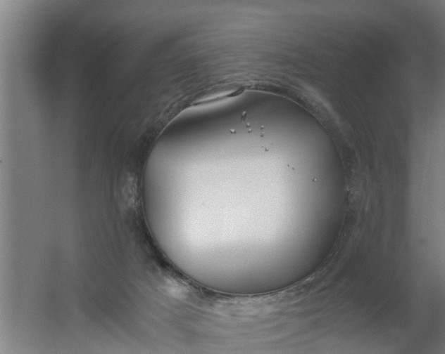 X0000059810025200511041705