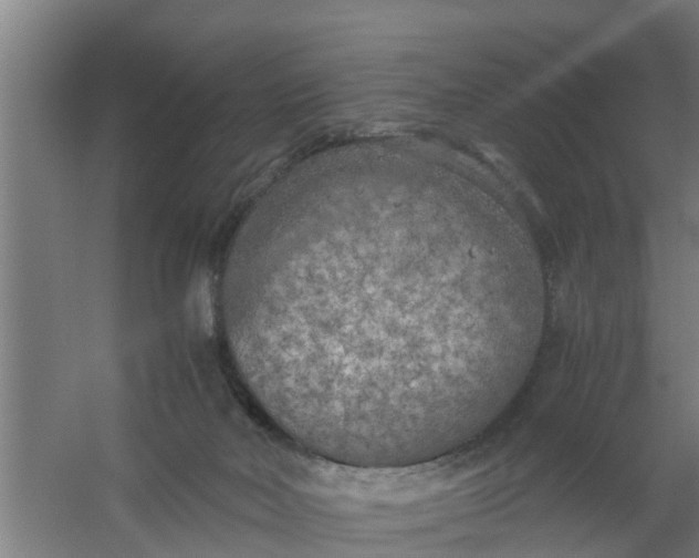 X0000059810026200511041705