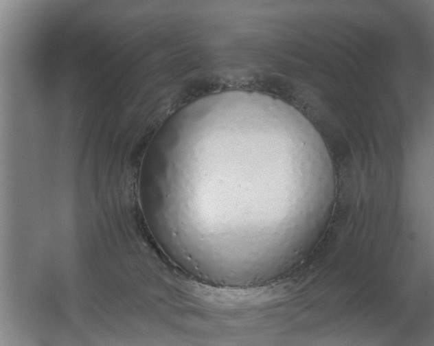 X0000059810034200511041705