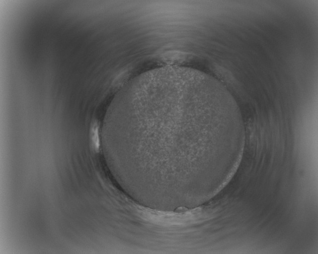 X0000059810042200511041705