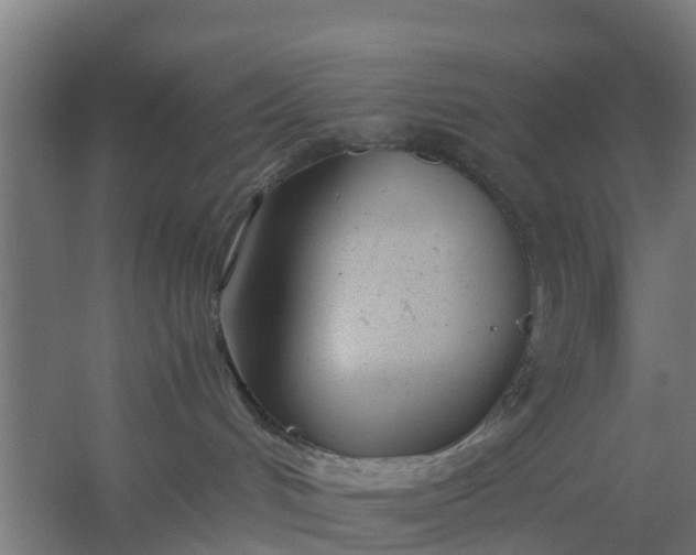 X0000059810048200511041705