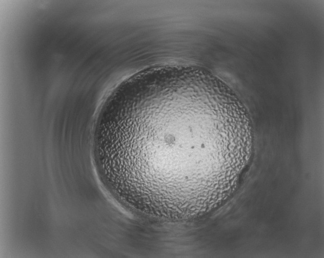 X0000059810049200511041704