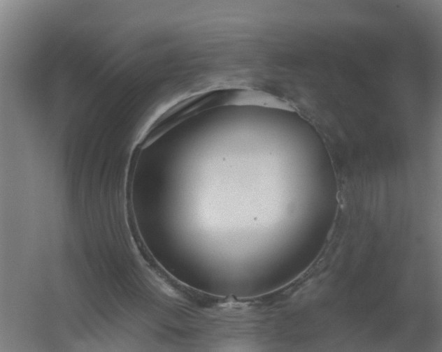 X0000059810052200511041704