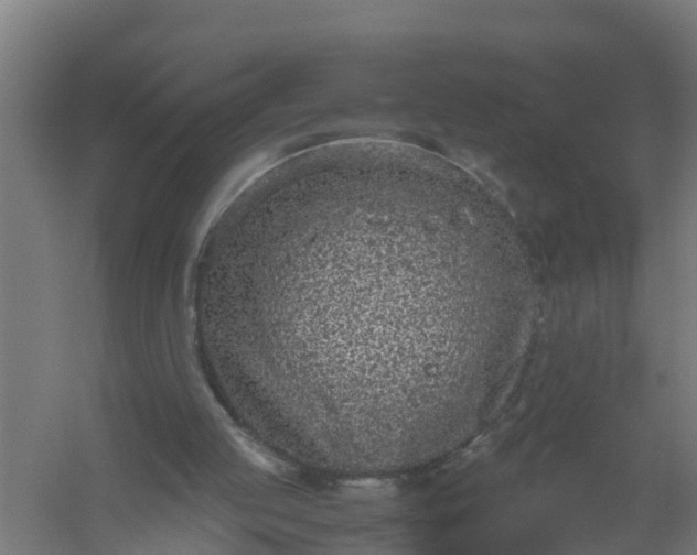 X0000059810053200511041704