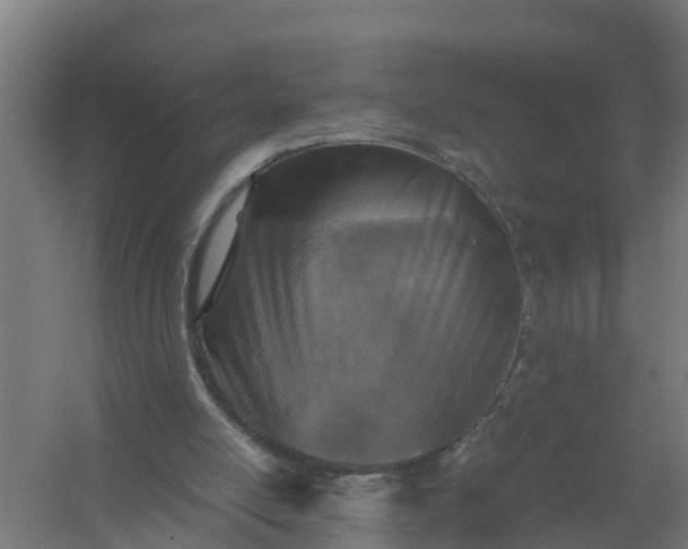 X0000059810054200511041704