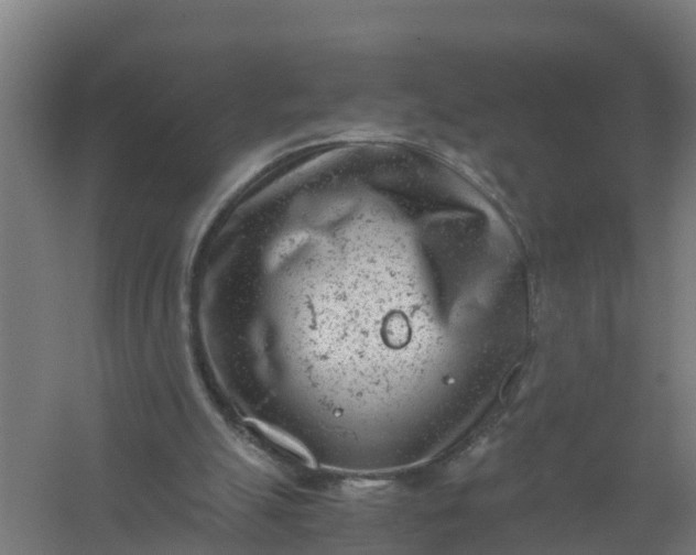 X0000059810055200511041704