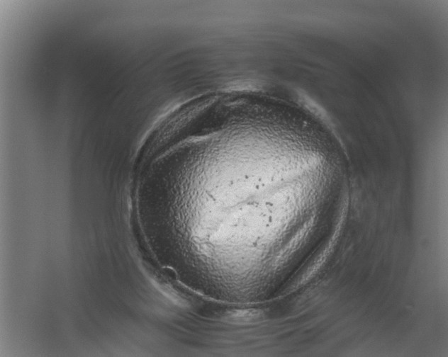 X0000059810059200511041704