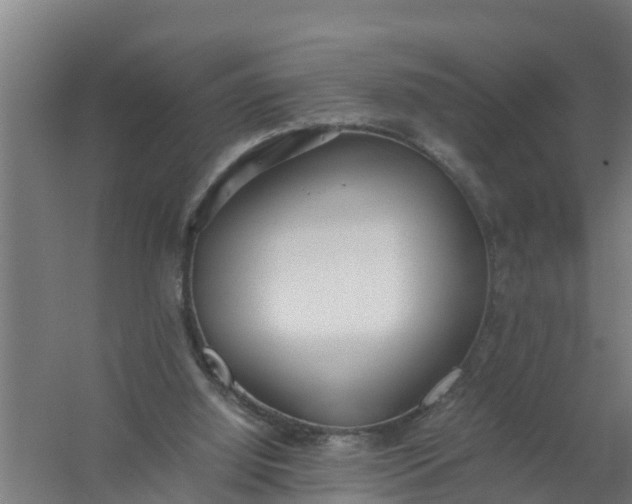 X0000059810060200511041704