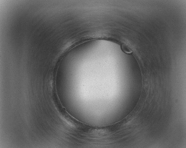 X0000059810063200511041704