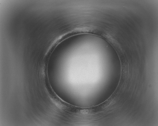 X0000059810064200511041704