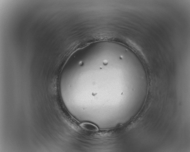 X0000059810065200511041704