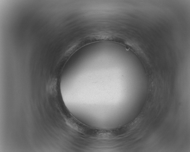 X0000059810066200511041704