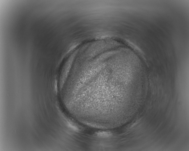 X0000059810067200511041704