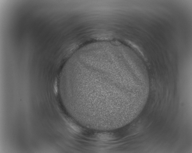 X0000059810069200511041704