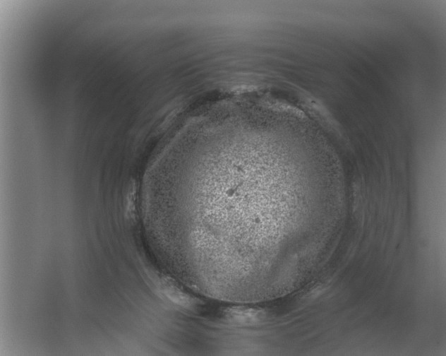 X0000059810073200511041704