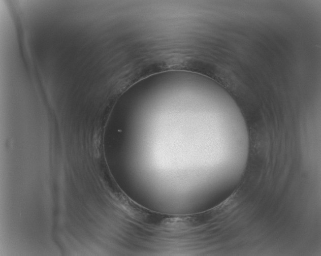 X0000059810082200511041704