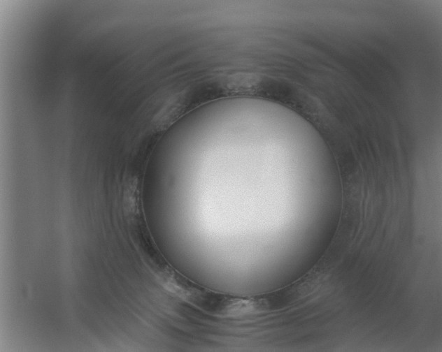 X0000059810083200511041704