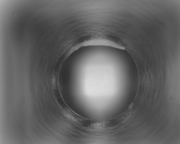 X0000059810084200511041704