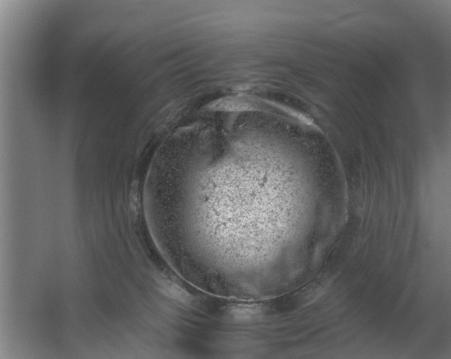 X0000059810085200511041705