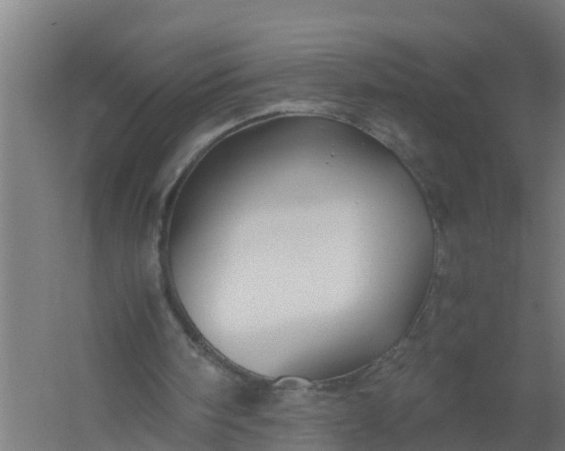 X0000059810098200511041704