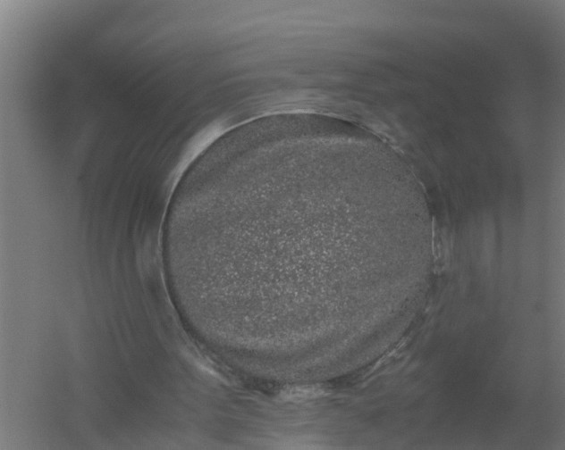 X0000059810099200511041704