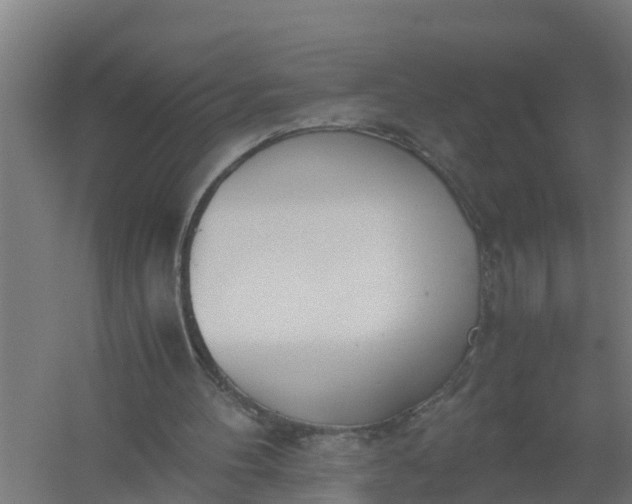 X0000059810100200511041704