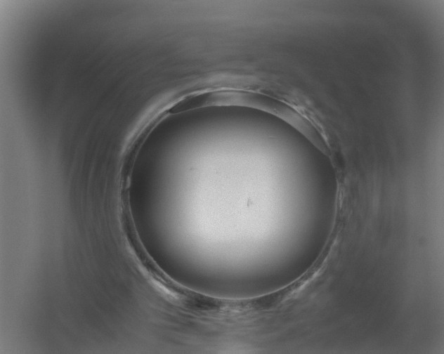 X0000059810101200511041704