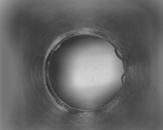 X0000059810102200511041704