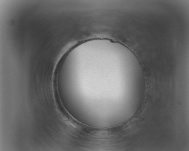 X0000059810104200511041704