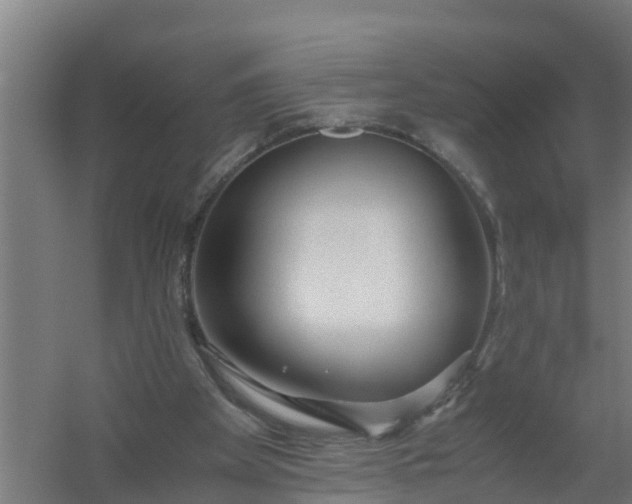 X0000059810105200511041704