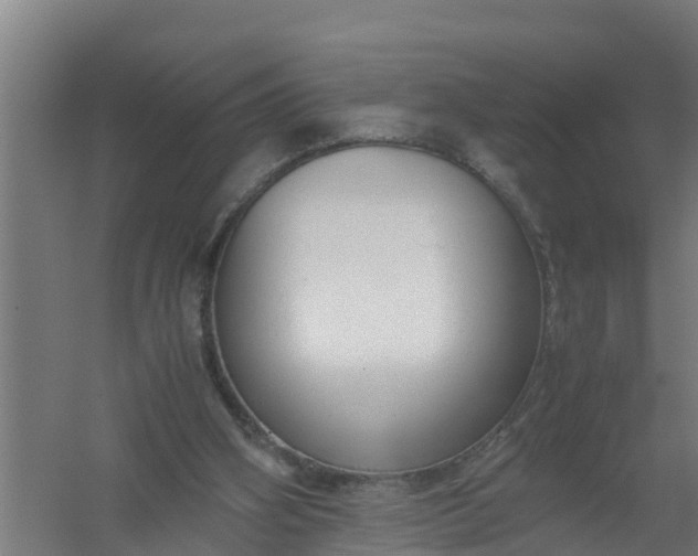 X0000059810106200511041704