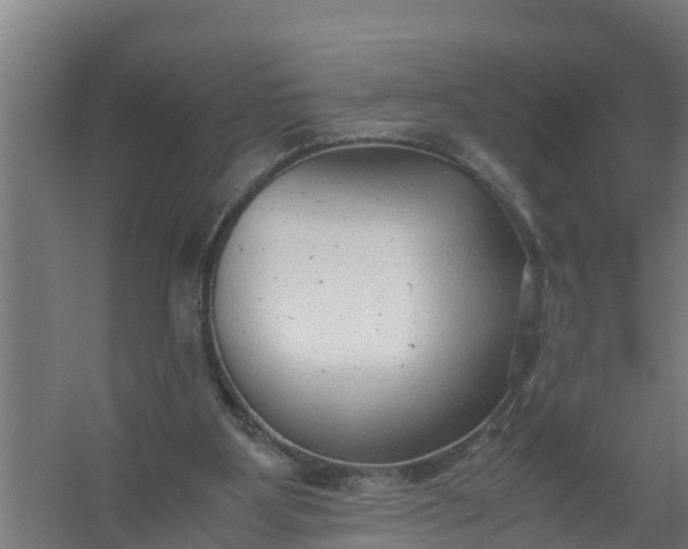 X0000059810107200511041704