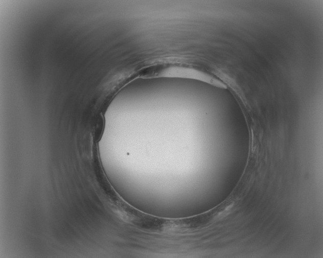 X0000059810109200511041704