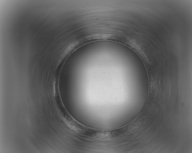 X0000059810110200511041704