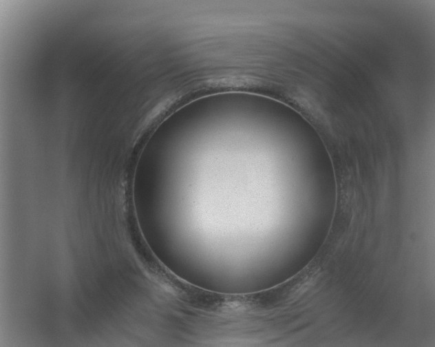 X0000059810111200511041704