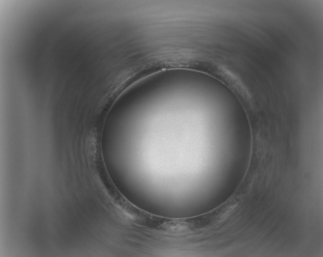 X0000059810113200511041704