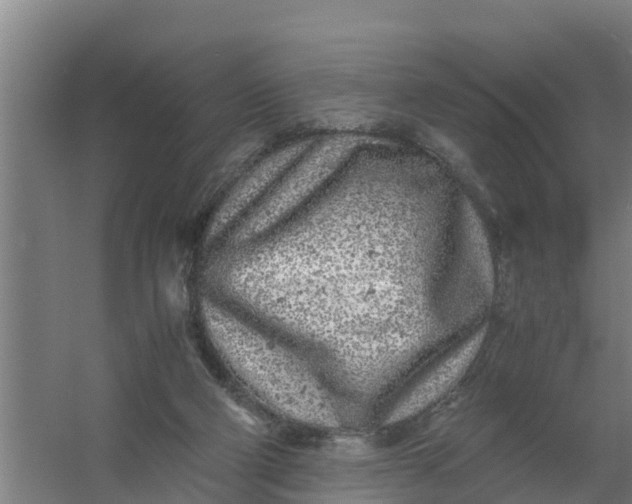 X0000059810114200511041704