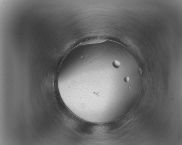 X0000059810115200511041704