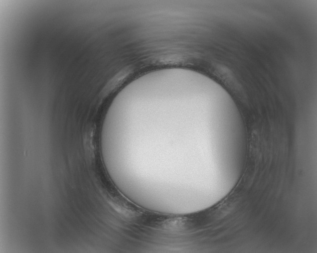 X0000059810116200511041704