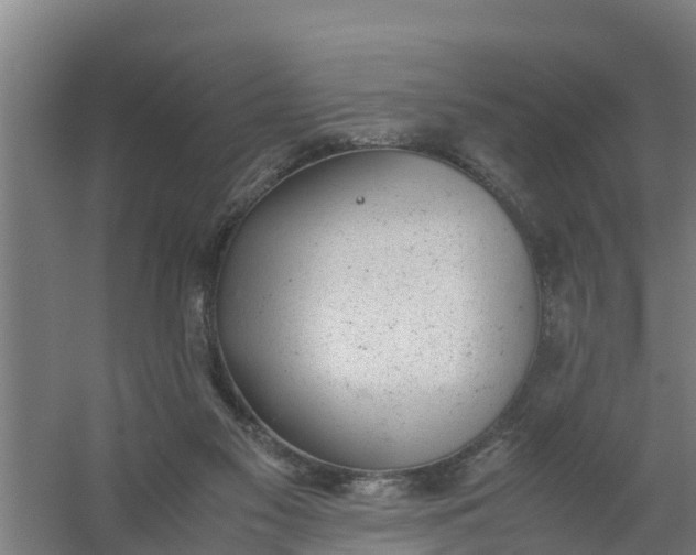 X0000059810117200511041704