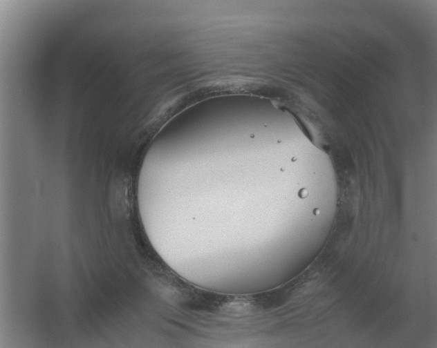 X0000059810119200511041703