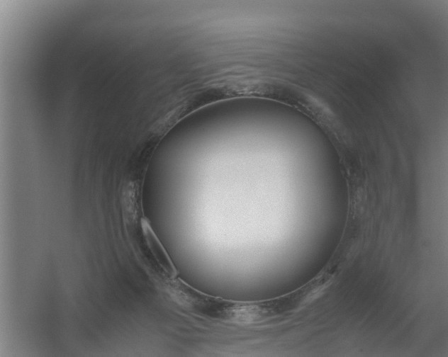 X0000059810121200511041703