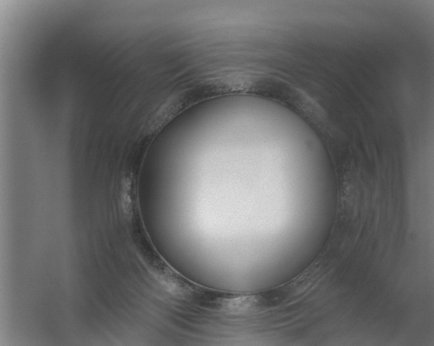 X0000059810122200511041703