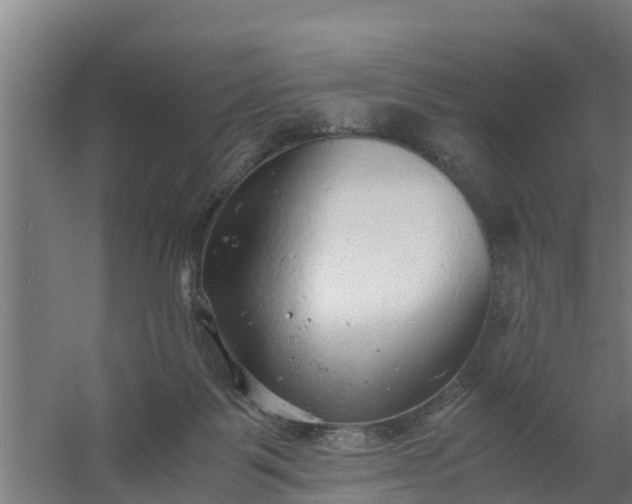 X0000059810123200511041703