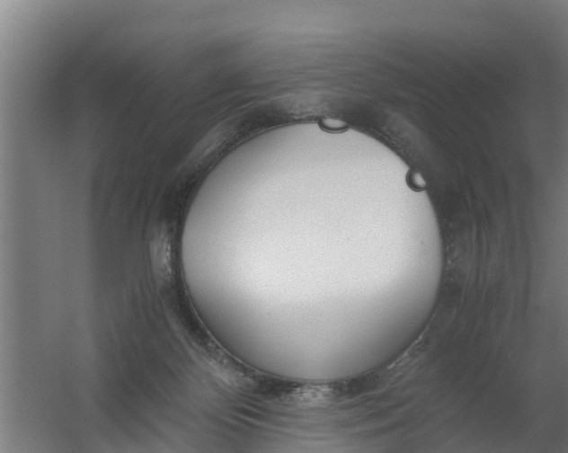 X0000059810124200511041703